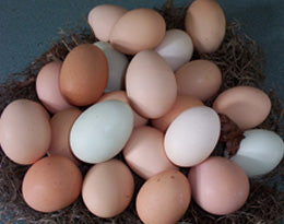 Eggs (Dozen)